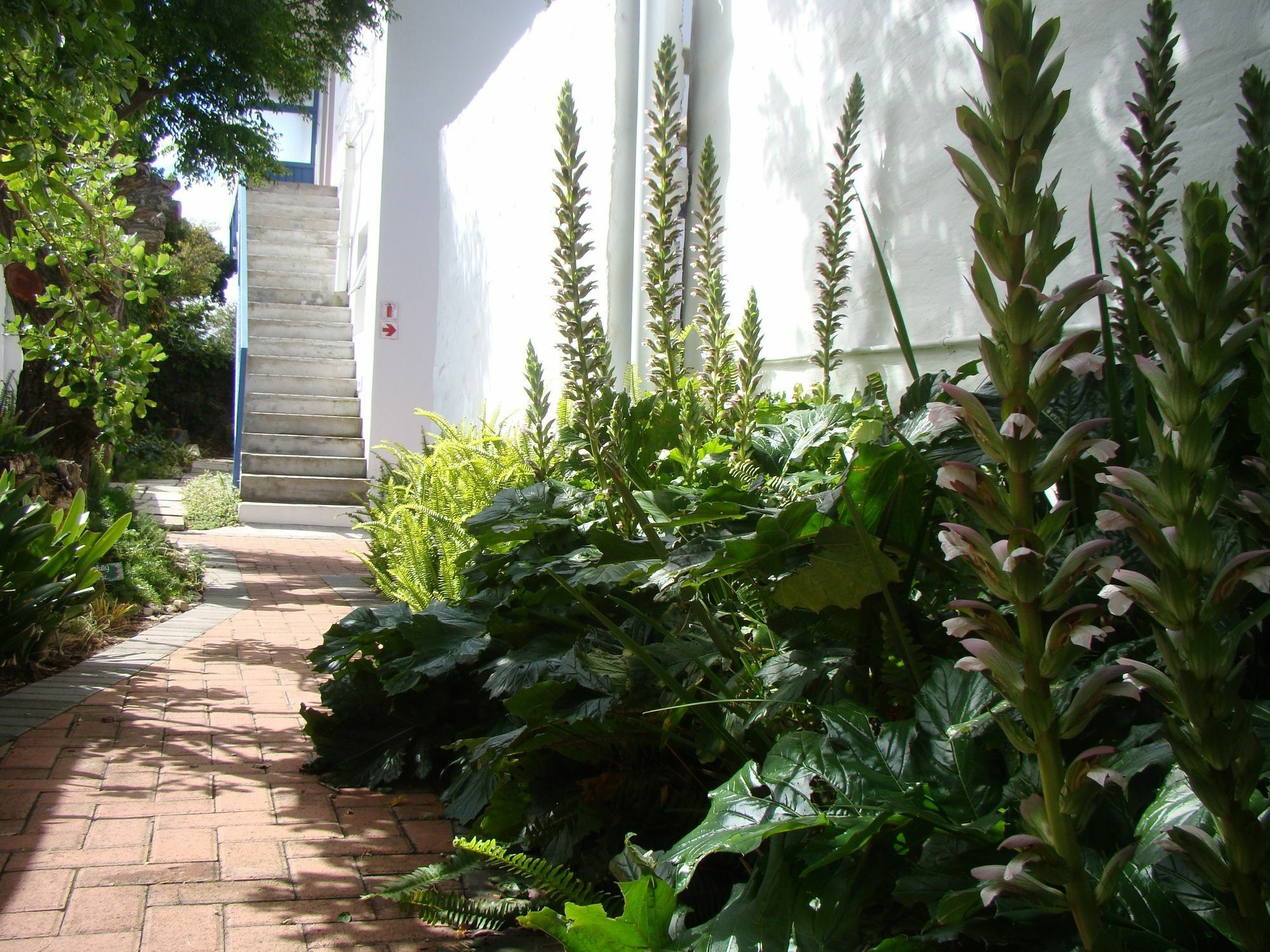 Aqua Marine Guest House Port Elizabeth Zewnętrze zdjęcie
